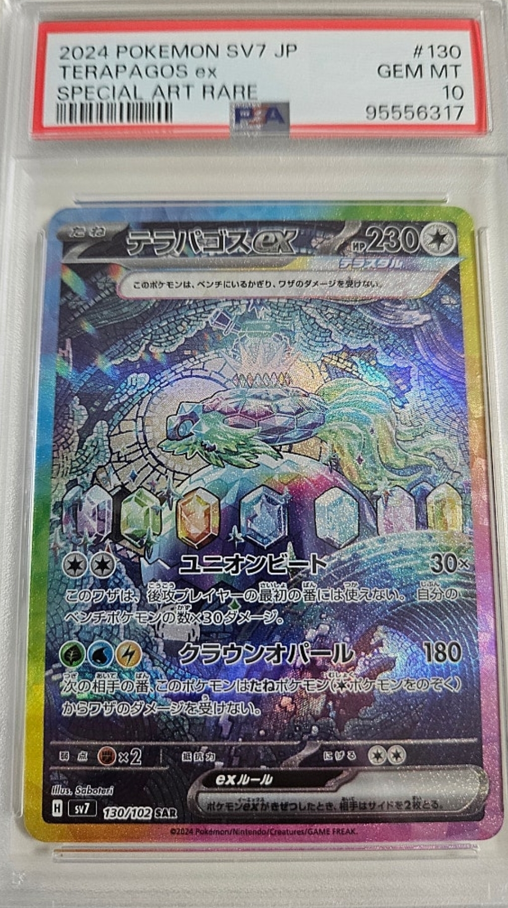 테라파고스 PSA10