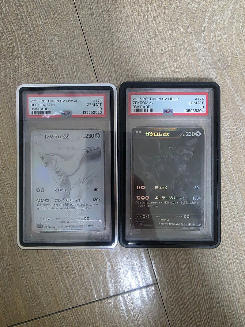 제크레시 BWR PSA 10