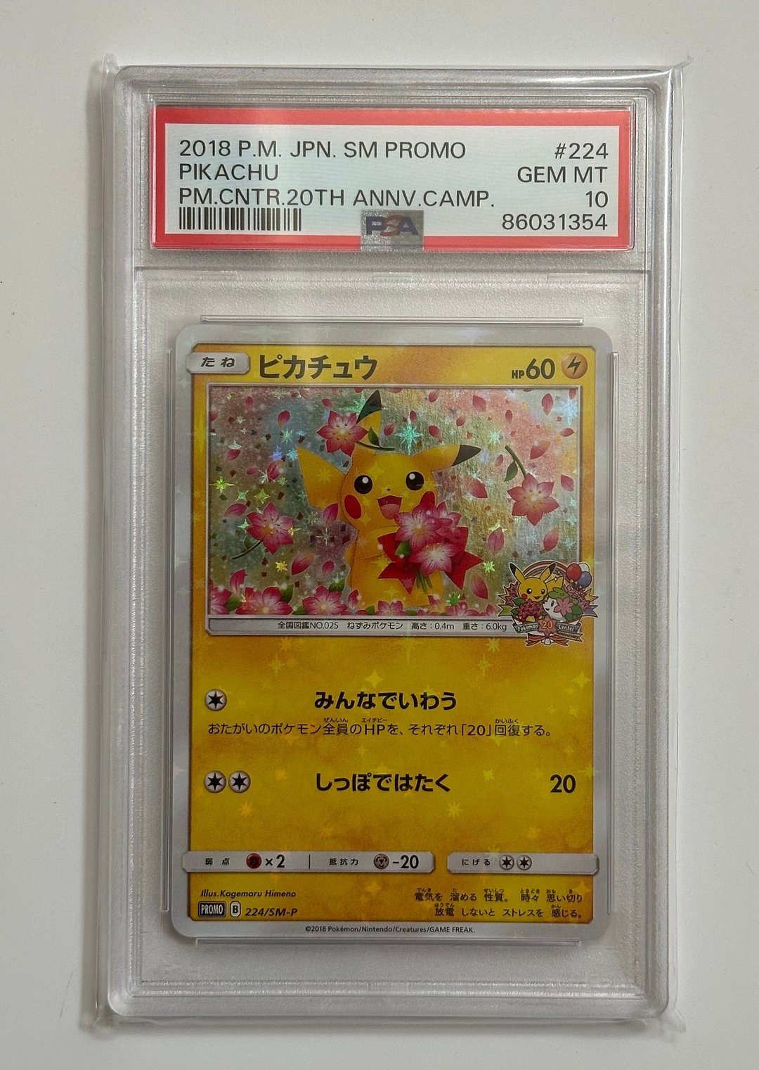 벚꽃츄 PSA 10