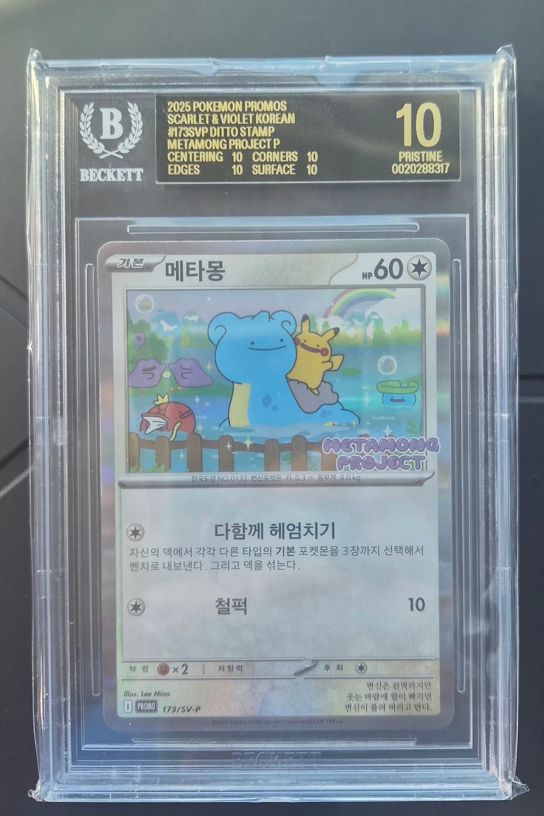 메타몽 BGS 블랙라벨10