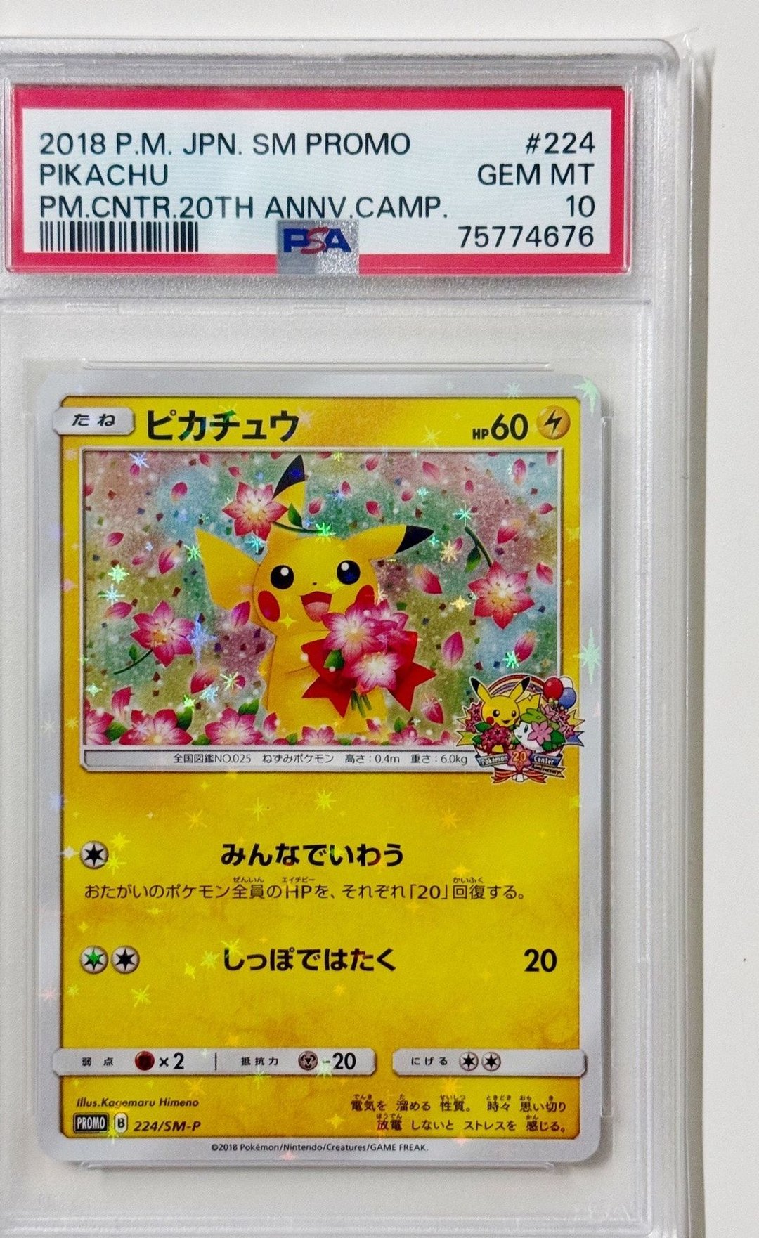 20주년 꽃카츄 피카츄 PSA 10